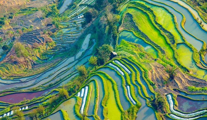 宝妈必备神器：临清市产品视频拍摄轻松育儿好帮手