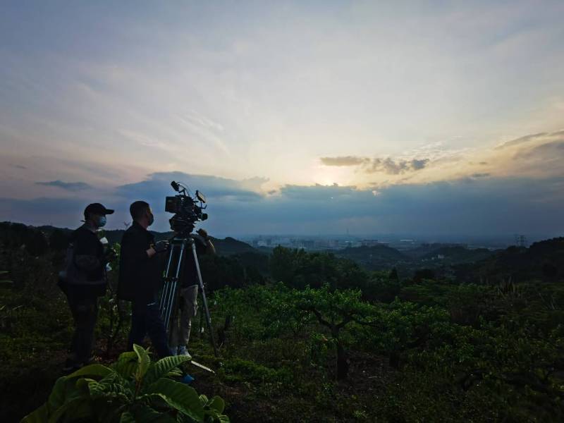 聚焦临清市产品宣传视频拍摄公司，用专业实力铸就品牌传播传奇