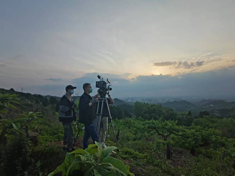 创意破圈！临清市电商产品宣传视频用故事化叙事引爆流量