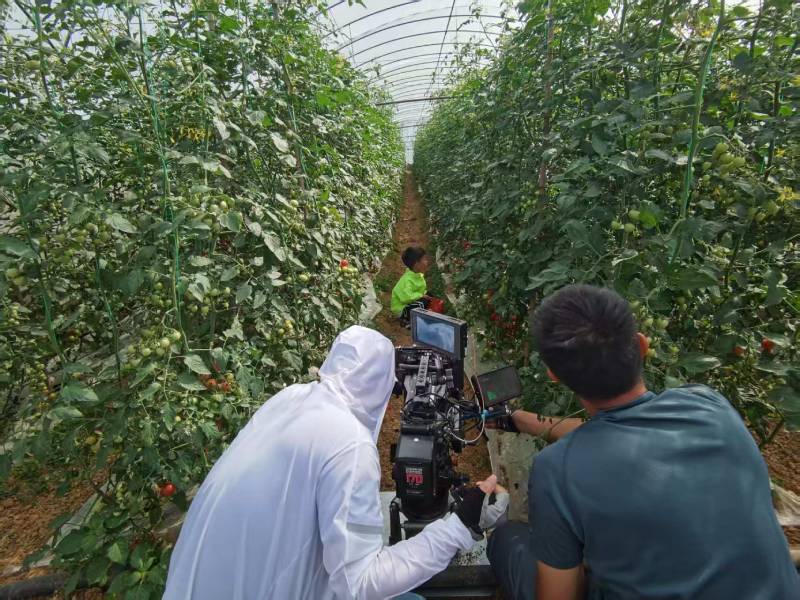 临清市产品宣传视频拍摄公司进阶指南，助力品牌抢占传播高地